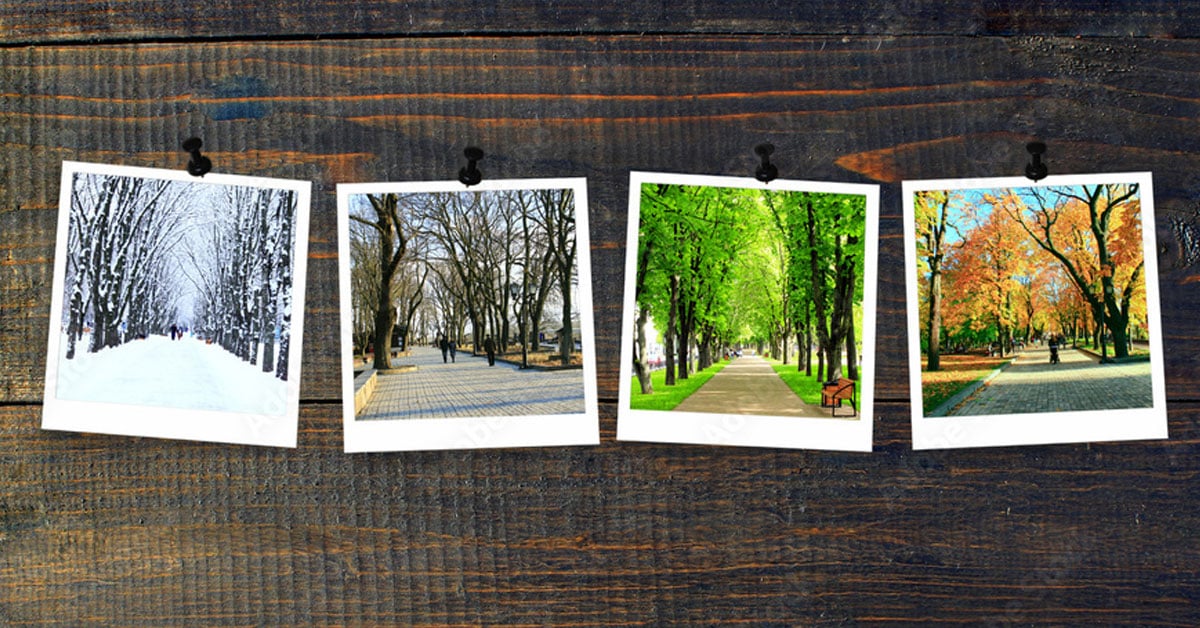 Four photos on a wooden backdrop of all four seasons